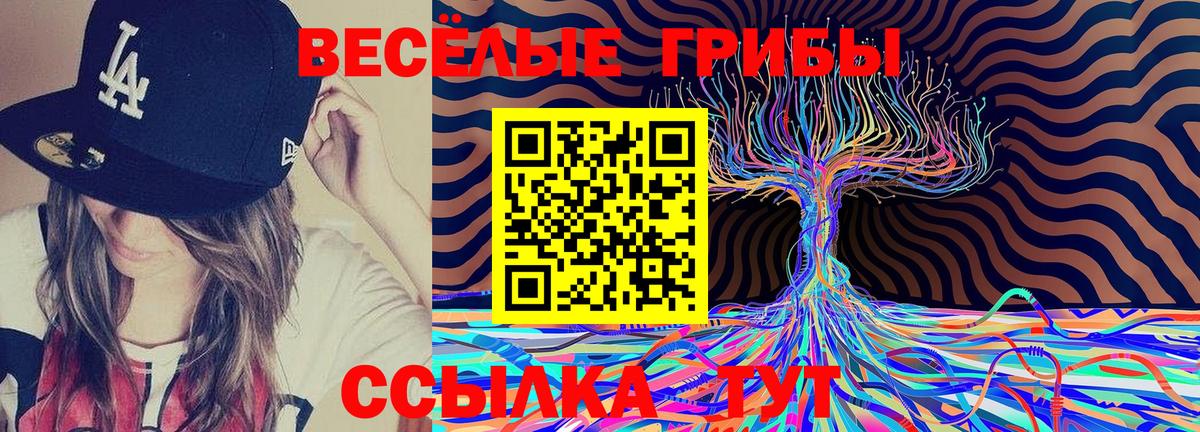 Псилоцибиновые грибы Cubensis  Вход с VPN  Псилоцибиновые грибы ЛСД  Полысаево 